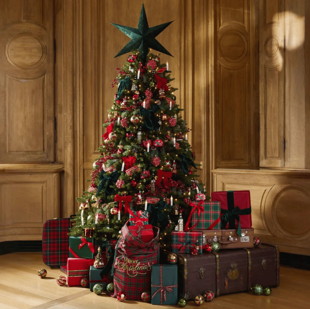 Capture d’écran 2025-12-05 à 13.50.32