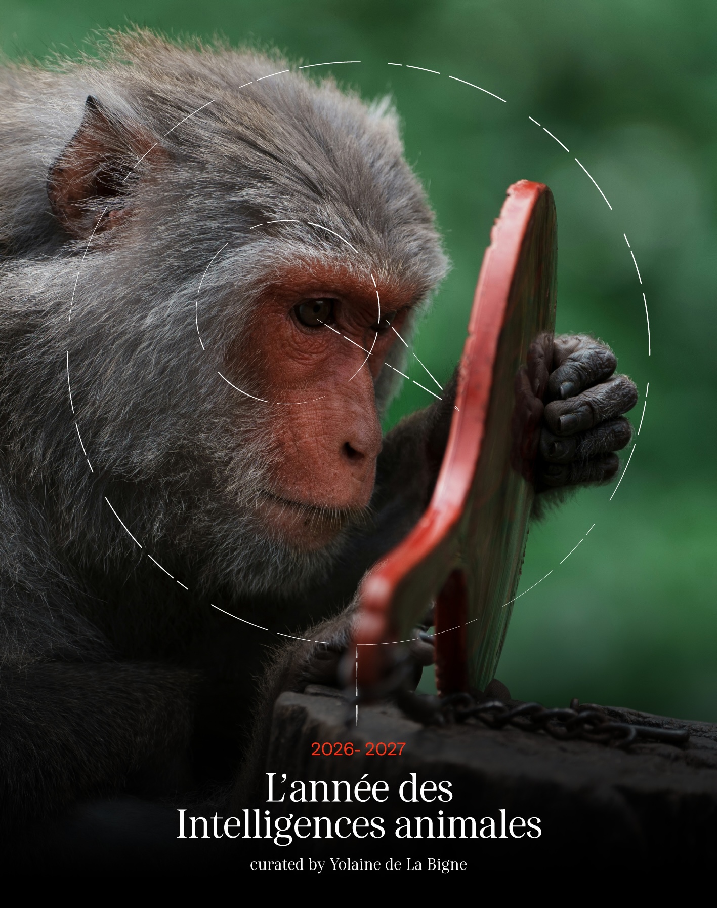 affiche-ok