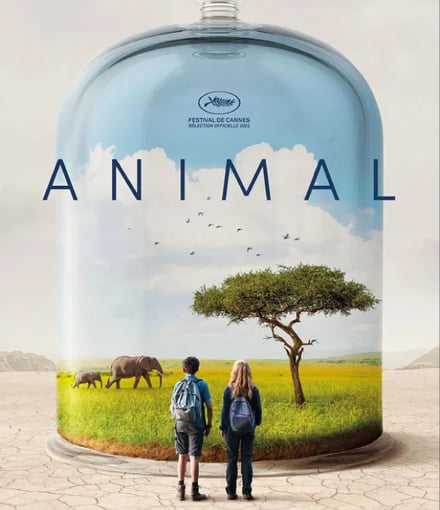 animal-1