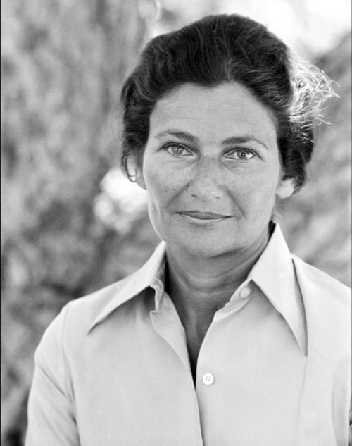simone-veil-loi-1976